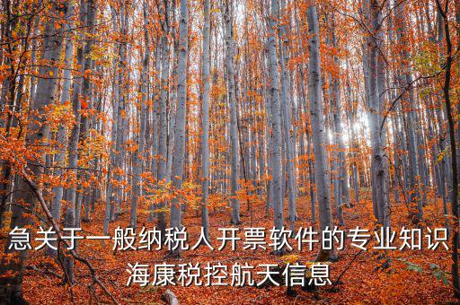 急關(guān)于一般納稅人開票軟件的專業(yè)知識?？刀惪睾教煨畔? class=