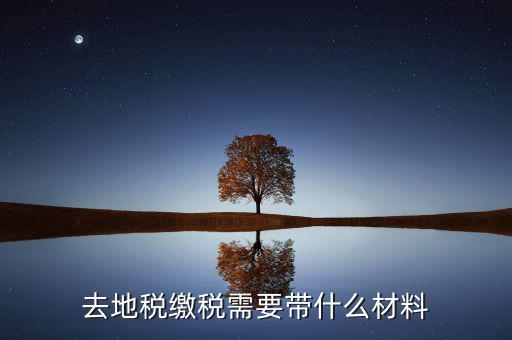 地稅局定稅要拿什么，去地稅局報(bào)稅需要拿什么東西