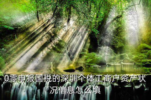 0零申報(bào)國稅的深圳個體工商戶資產(chǎn)狀況信息怎么填