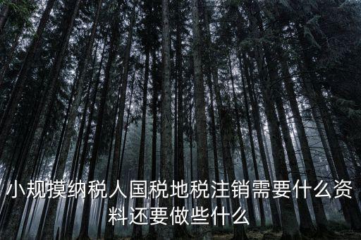 國(guó)地稅注銷需要什么，小規(guī)摸納稅人國(guó)稅地稅注銷需要什么資料還要做些什么