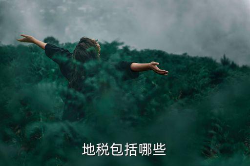 地方稅包括什么稅，地稅包括哪些