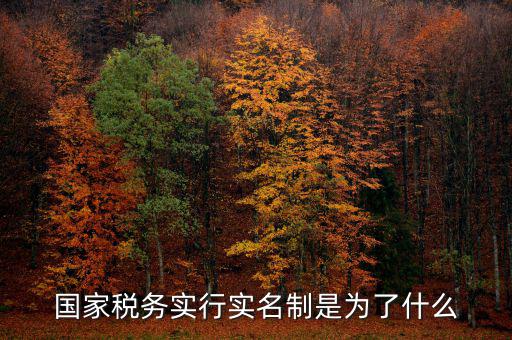 國(guó)家稅務(wù)實(shí)行實(shí)名制是為了什么