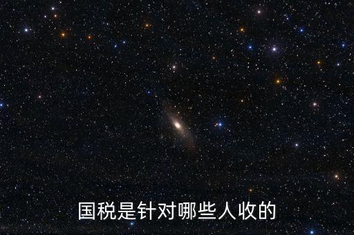 國稅都有什么人才庫，國稅有哪幾種