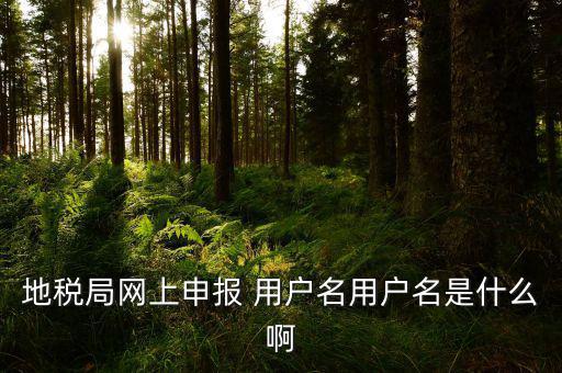地稅申報(bào)用戶名是什么，地稅申報(bào)的用戶名和密碼是什么