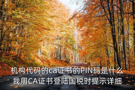 國稅ca證書登錄 密碼是什么，國稅第一次網上申報的登陸密碼是什么