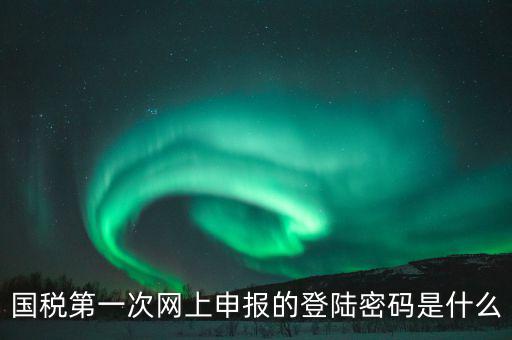 杭州國稅申報(bào)密碼是什么意思，國稅第一次網(wǎng)上申報(bào)的登陸密碼是什么