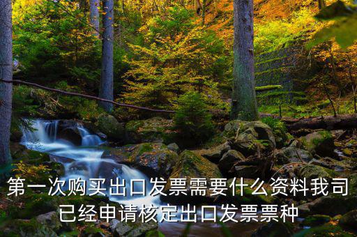 第一次購買出口發(fā)票需要什么資料我司已經(jīng)申請(qǐng)核定出口發(fā)票票種
