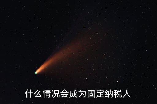 什么是固定納稅人，什么是定額納稅人