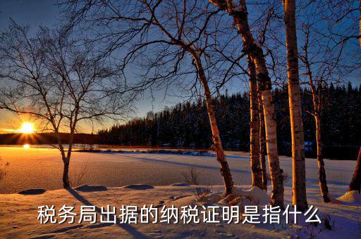 什么是稅收證明，什么是個(gè)人納稅證明
