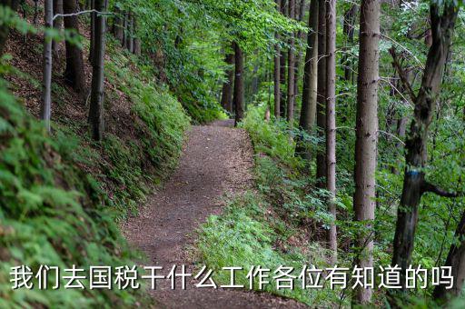 我們?nèi)?guó)稅干什么工作各位有知道的嗎