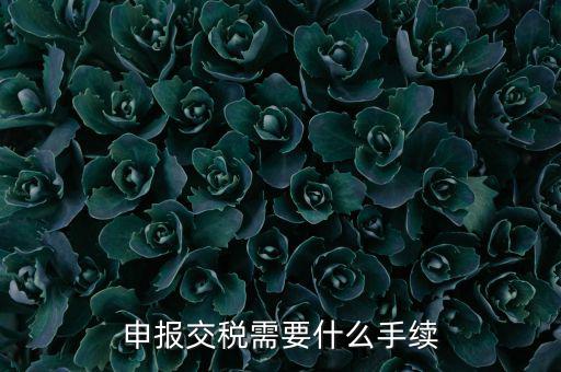 辦理稅務(wù)需要什么手續(xù)，稅務(wù)登記 代辦需要什么手續(xù)