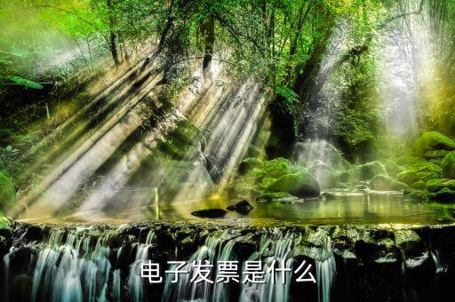 電子發(fā)票單位是什么樣的，什么叫電子發(fā)票