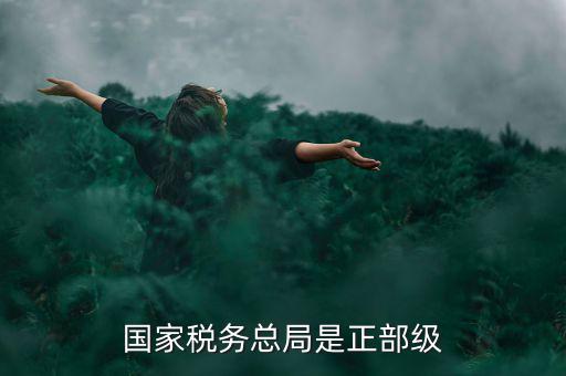 國(guó)家稅務(wù)總局是正部級(jí)