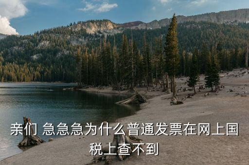 為什么發(fā)票在國(guó)稅網(wǎng)，親們 急急急為什么普通發(fā)票在網(wǎng)上國(guó)稅上查不到