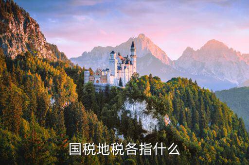 國(guó)稅代征地稅什么意思，國(guó)稅地稅各指什么