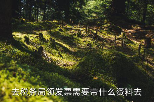 去稅務局領(lǐng)發(fā)票需要帶什么資料去
