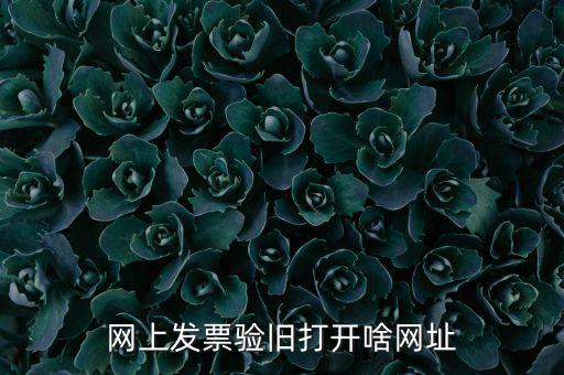 山東省網(wǎng)絡(luò)開(kāi)票網(wǎng)址是什么，網(wǎng)上發(fā)票驗(yàn)舊打開(kāi)啥網(wǎng)址