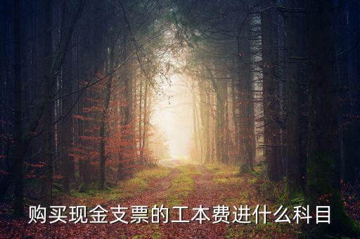 發(fā)票工本費什么科，買支票的工本費和手續(xù)費分別進(jìn)什么科目