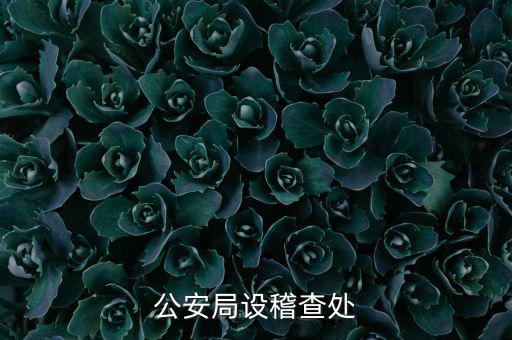 稽查處是什么部門，公安局設稽查處