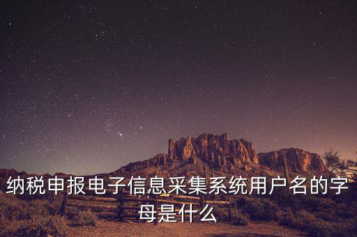 納稅人用戶編號(hào)是什么，地稅的用戶名是什么