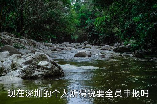 深圳為什么要個(gè)稅申報(bào)，外地企業(yè)如何在深圳為什么還要繳納個(gè)人所得稅1