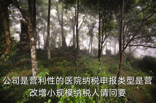營改增醫(yī)院用什么發(fā)票，營改增認(rèn)定的一般納稅人使用什么發(fā)票