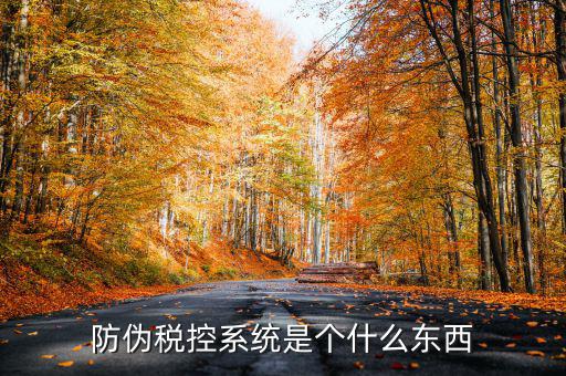 防偽稅控一體化什么時候，營改增后漢字防偽企業(yè)抄報稅時需要使用什么設備