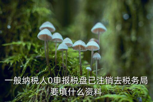 注銷金稅盤需要帶什么資料，請問注銷稅務(wù)登記需要提供哪些資料