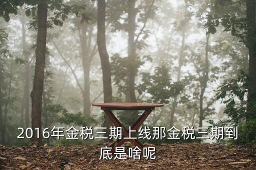 金稅三期具體什么意思，金稅三期是什么意思