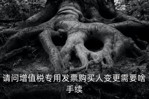請(qǐng)問(wèn)增值稅專用發(fā)票購(gòu)買(mǎi)人變更需要啥手續(xù)