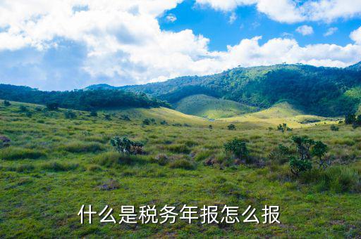 稅務(wù)局年報(bào)指報(bào)什么稅，我想知道稅務(wù)上年底所得稅年報(bào)指的是什么是不是季度那個(gè)表呀