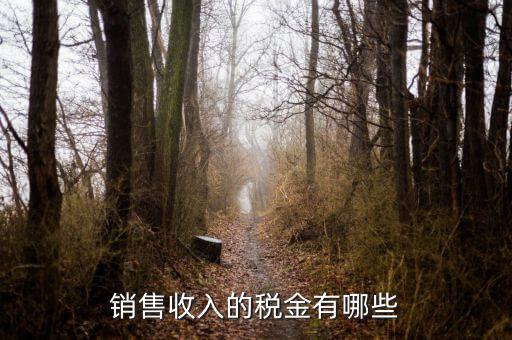 銷售交什么稅，銷售收入的稅金有哪些