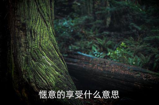 應(yīng)享盡享什么意思，愜意的享受什么意思