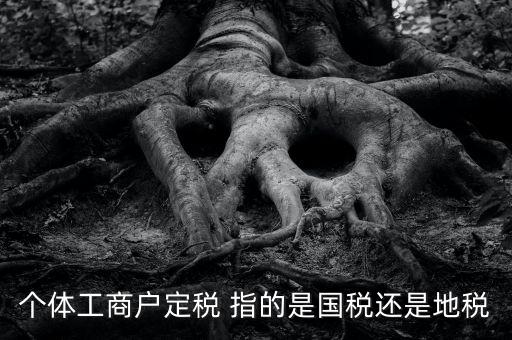 個體戶定稅是什么意思，疑難國稅個體戶定稅