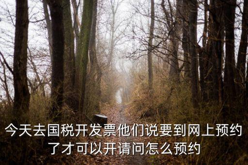 國稅預(yù)約的是什么，拿金稅盤去國稅前臺弄要預(yù)約嗎
