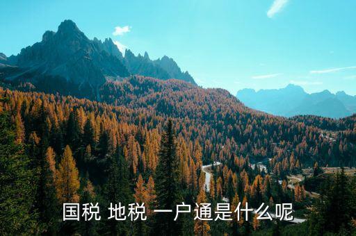 稅務通有什么用，國稅 地稅 一戶通是什么呢