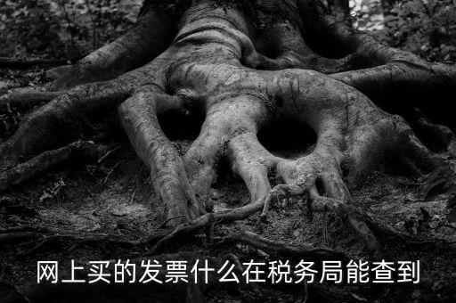 網(wǎng)上查發(fā)票能查到什么內(nèi)容，網(wǎng)上買的發(fā)票什么在稅務(wù)局能查到