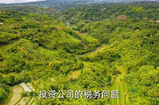 投資公司需要交什么稅，投資公司修建寺院需要上稅嗎上什么稅種