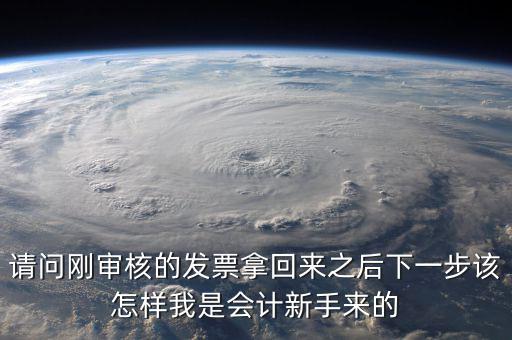 發(fā)票核定完之后接下來做什么，請(qǐng)問剛審核的發(fā)票拿回來之后下一步該怎樣我是會(huì)計(jì)新手來的