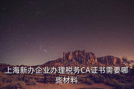 2014年7月份上海稅務(wù)局還需要審什么證，上海新辦企業(yè)辦理稅務(wù)CA證書(shū)需要哪些材料