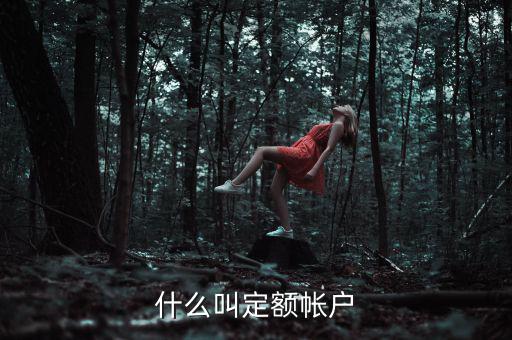 國稅的定期定額戶是什么意思，國稅買票需要定稅或建賬是什么意思