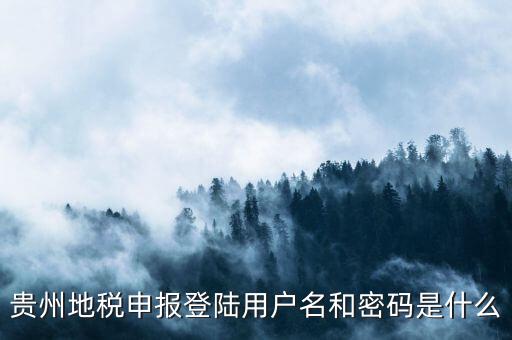 地稅登錄名密碼是什么意思，地稅申報(bào)的用戶名和密碼是什么