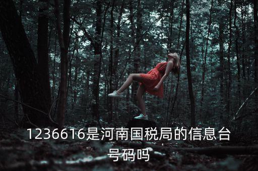 河南省國家稅務(wù)局賬號是什么，登錄國稅網(wǎng)上辦稅服務(wù)廳的用戶名和密碼是什么