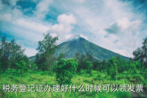 稅務登記證辦理好什么時候可以領發(fā)票