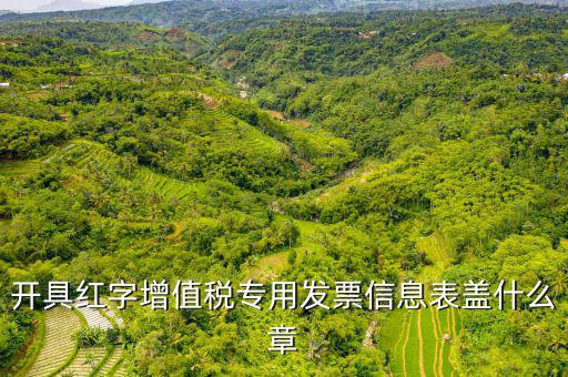 發(fā)票章什么樣子，開具紅字增值稅專用發(fā)票信息表蓋什么章