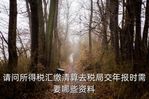 公司稅務年報需要什么，問企業(yè)所得稅年報怎么報需要什么資料
