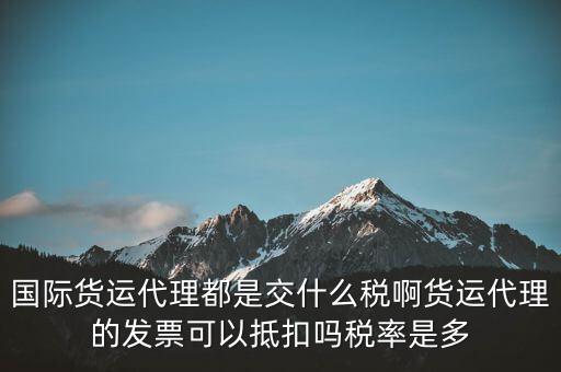 貨代公司交什么稅，國際貨運(yùn)代理都是交什么稅啊貨運(yùn)代理的發(fā)票可以抵扣嗎稅率是多