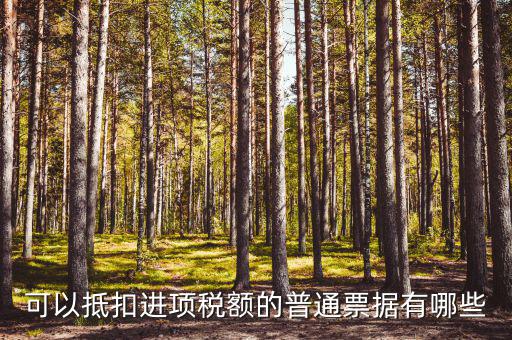 可以抵扣進(jìn)項稅額的普通票據(jù)有哪些