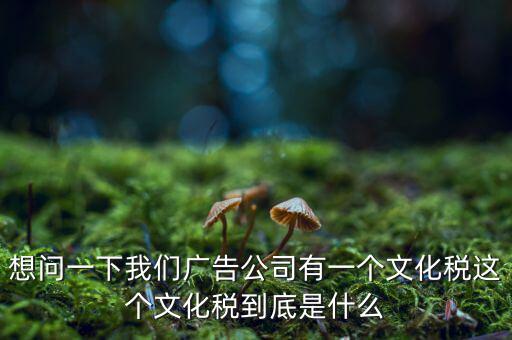 什么是稅務(wù)文化，和諧地稅文化的內(nèi)涵應(yīng)包括哪些方面