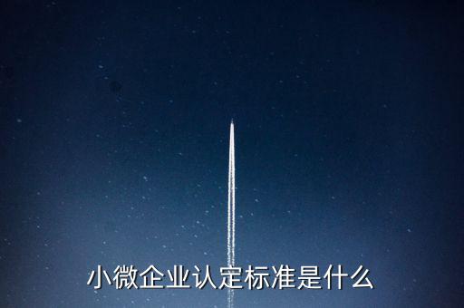小微企業(yè)包括什么條件，小微企業(yè)的標(biāo)準(zhǔn)是什么